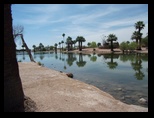 Perfect reflection of Palms at Papago Park