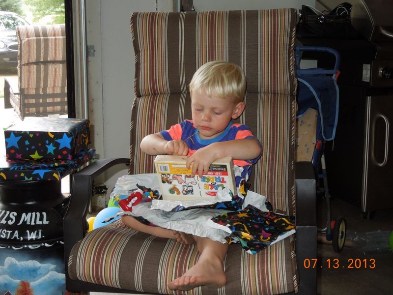 2013_07_12_birthays_at_farm_1102.jpg (large)