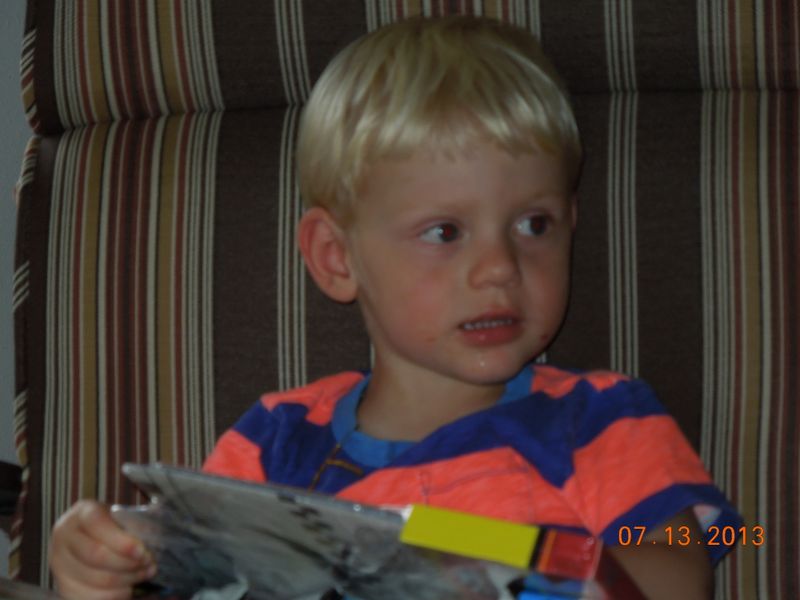 2013_07_12_birthays_at_farm_1106.jpg (large)