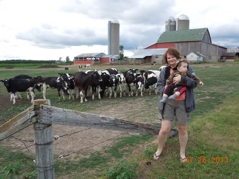 Sherri watching Carson and the Cows