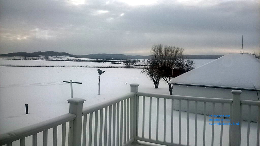 Sherri's winter view outside the kitchen window