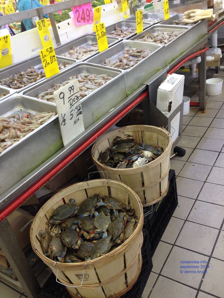 2014_09_17_chinese_supremarket_k_iphone_0010.jpg (large)