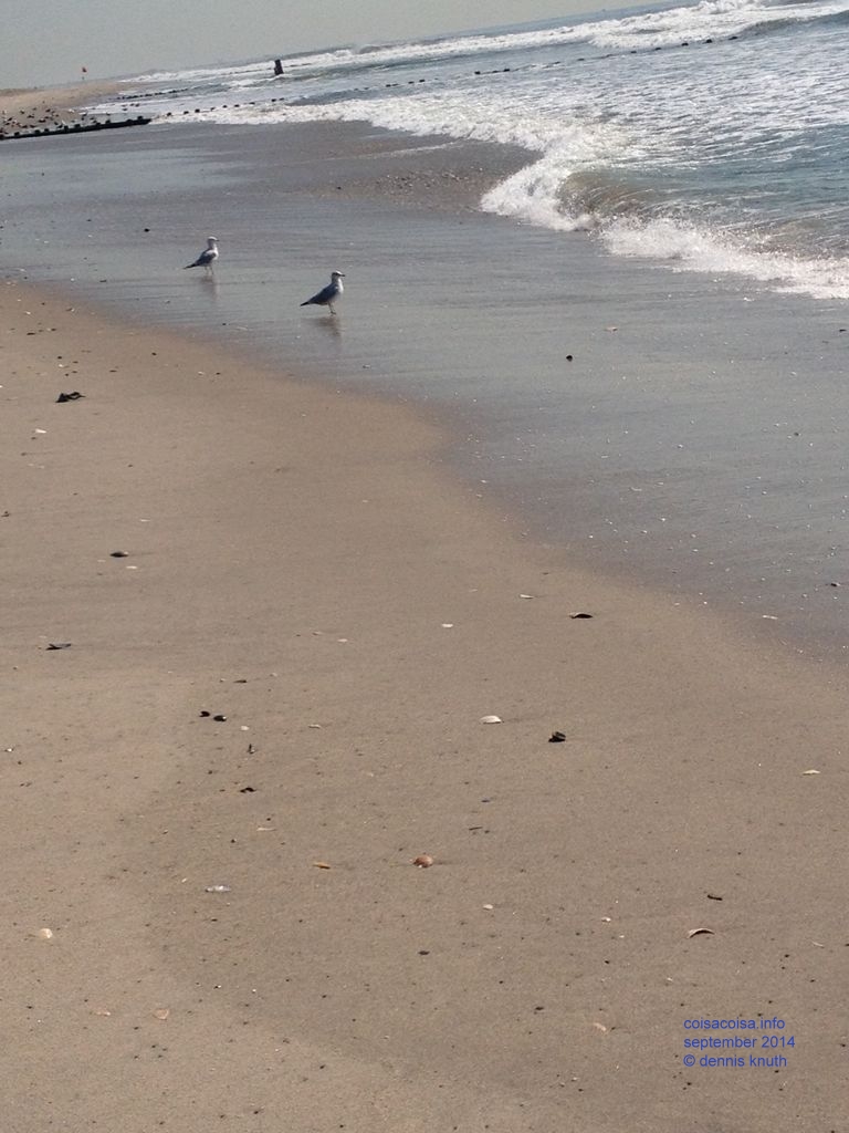 2014_09_18_beach_k_iphone_0019.jpg (large)