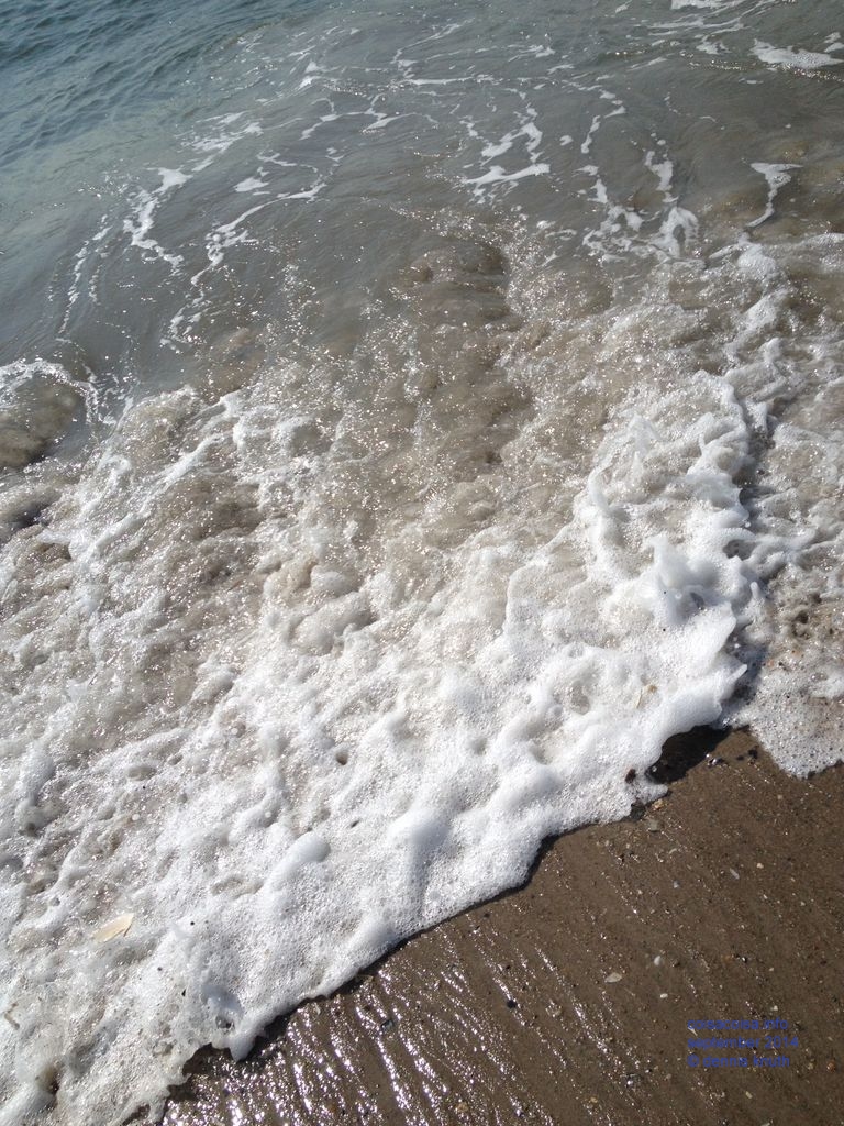 2014_09_18_beach_k_iphone_0024.jpg (large)