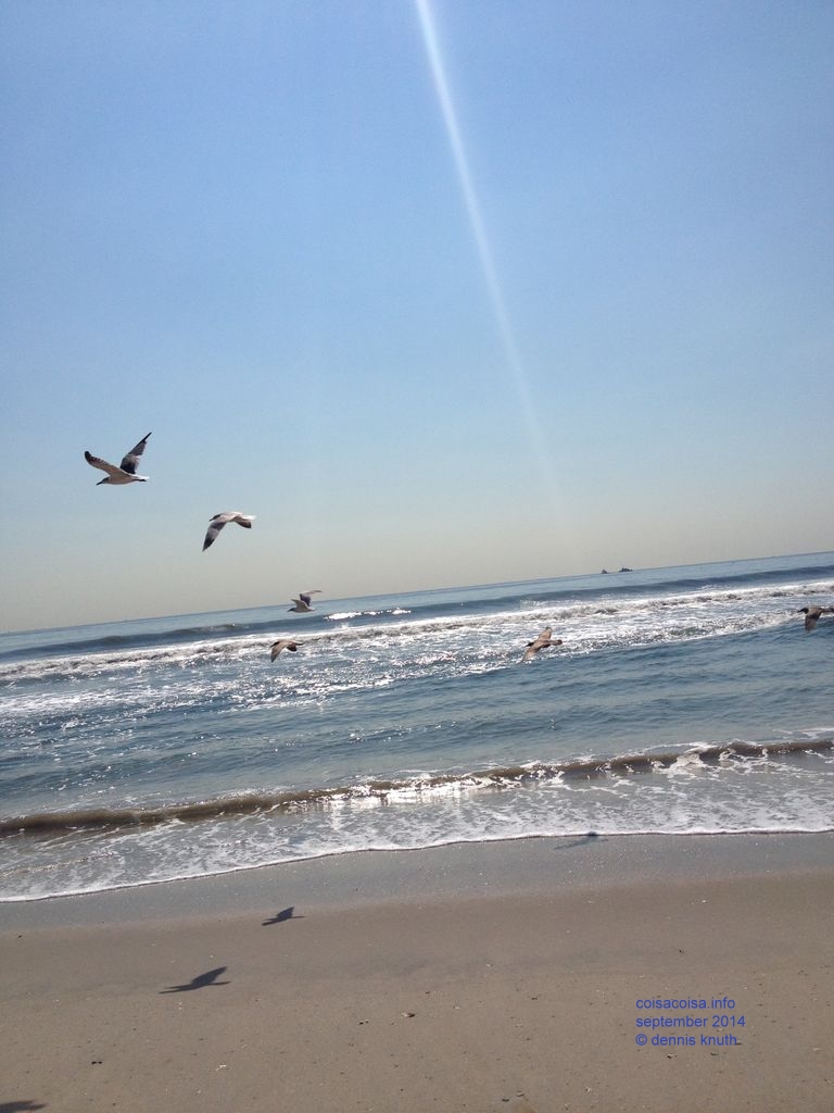 2014_09_18_beach_k_iphone_0028.jpg (large)