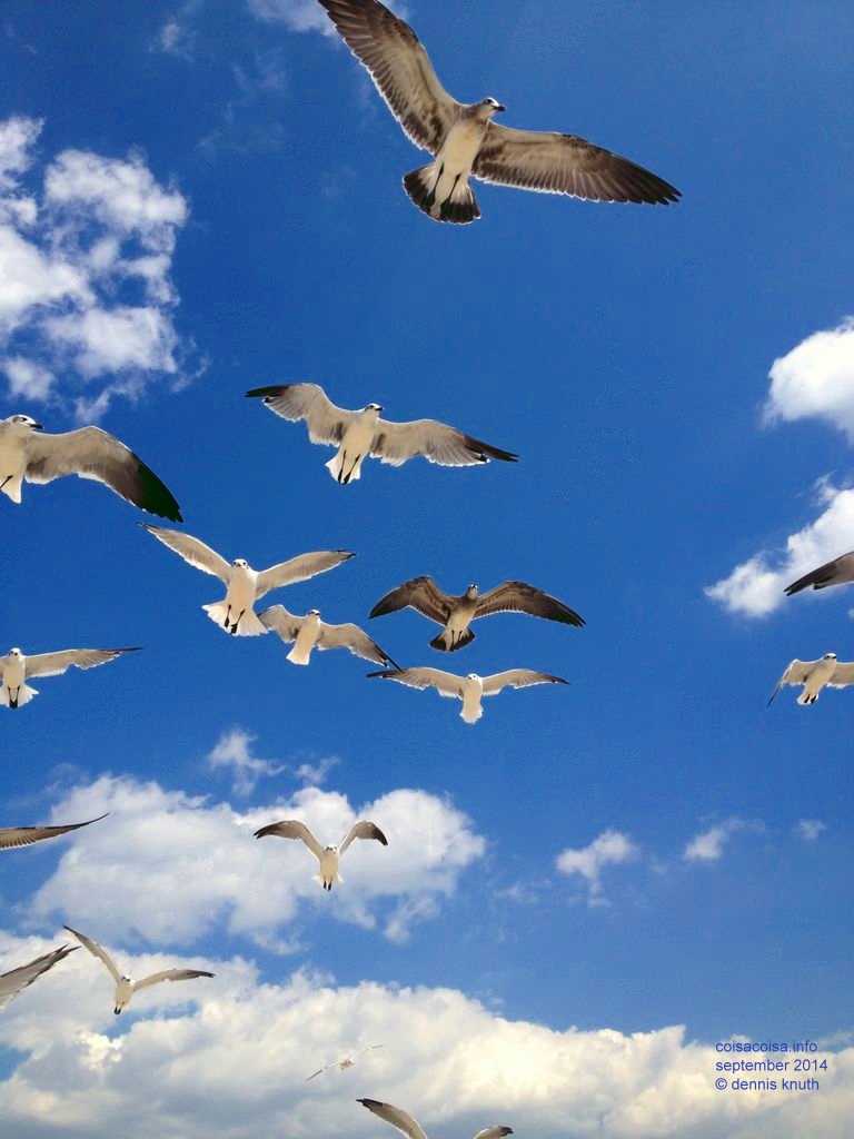 2014_09_18_beach_k_iphone_0049.jpg (large)