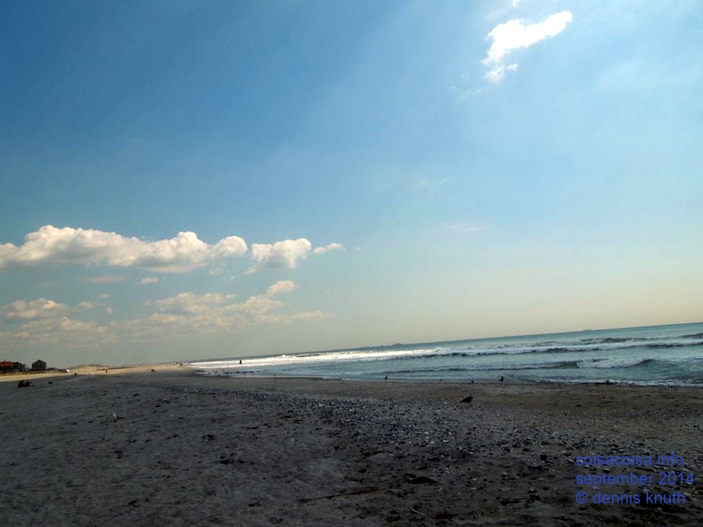 2014_09_18_sherri_beach_nyc_036.jpg (large)