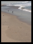 2014_09_18_beach_k_iphone_0019.jpg