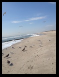 2014_09_18_beach_k_iphone_0031.jpg