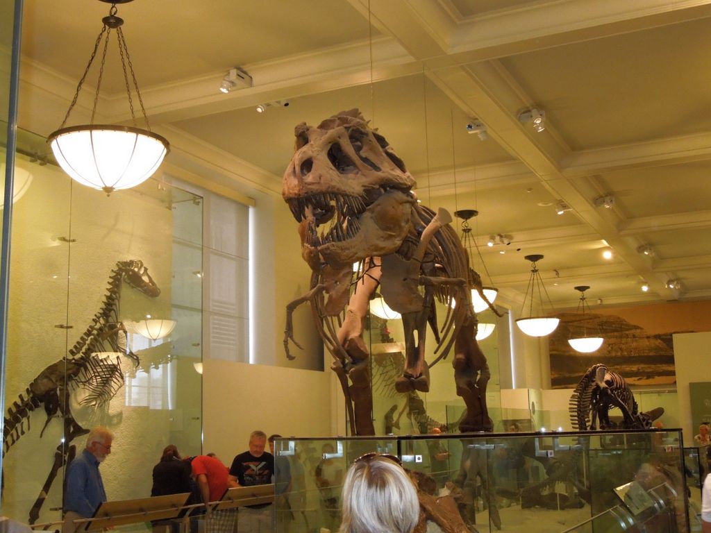 09_20_museum_ferry_0006.jpg (large)