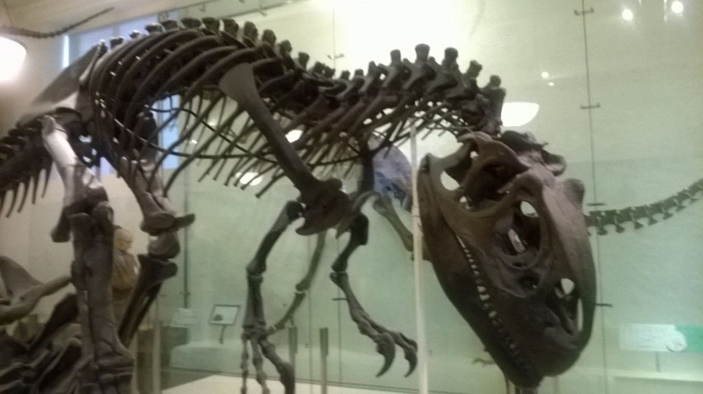 09_20_museum_ferry_0047.jpg (large)