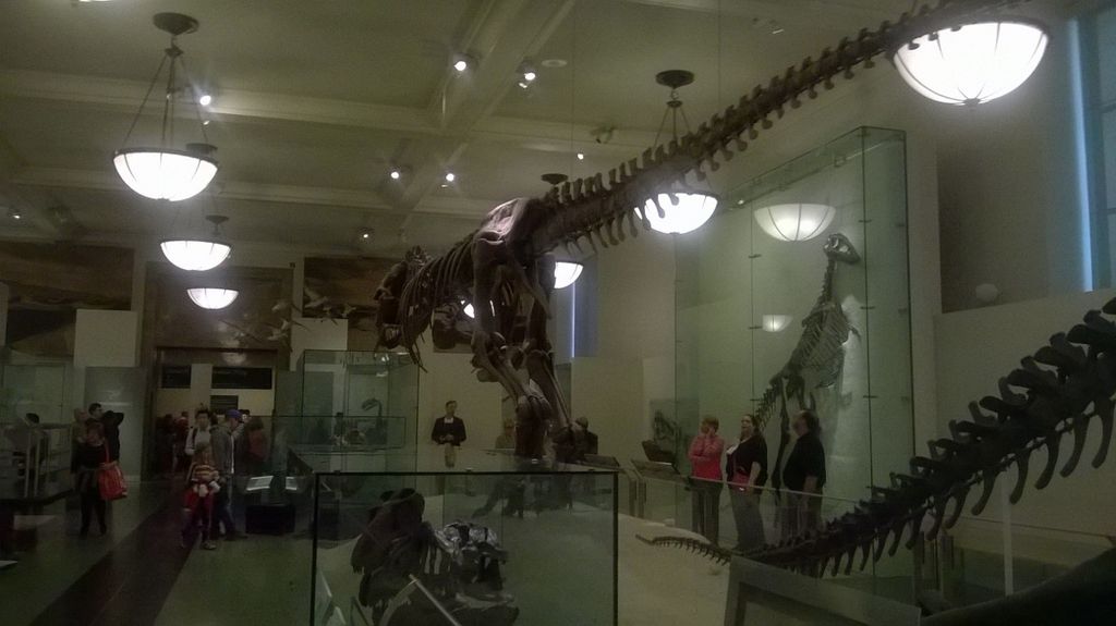 09_20_museum_ferry_0048.jpg (large)