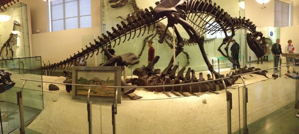 2014_09_20_k_iphone_museum_094.jpg (large)