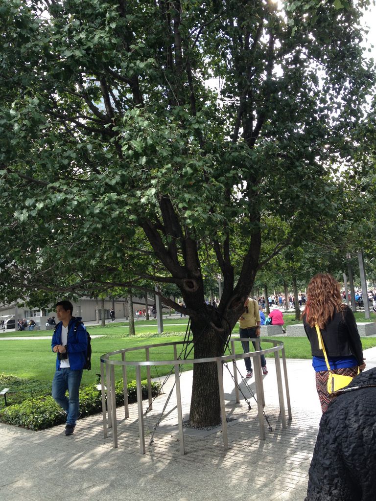 2014_09_20_k_iphone_trade_098.jpg (large)