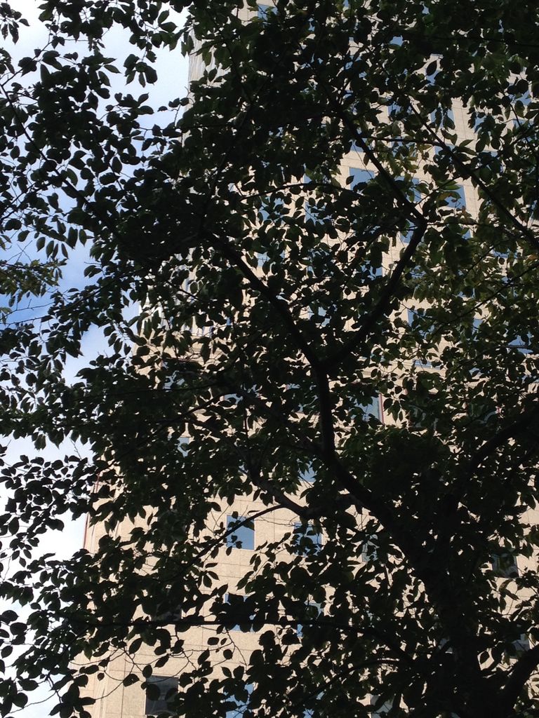 2014_09_20_k_iphone_trade_102.jpg (large)