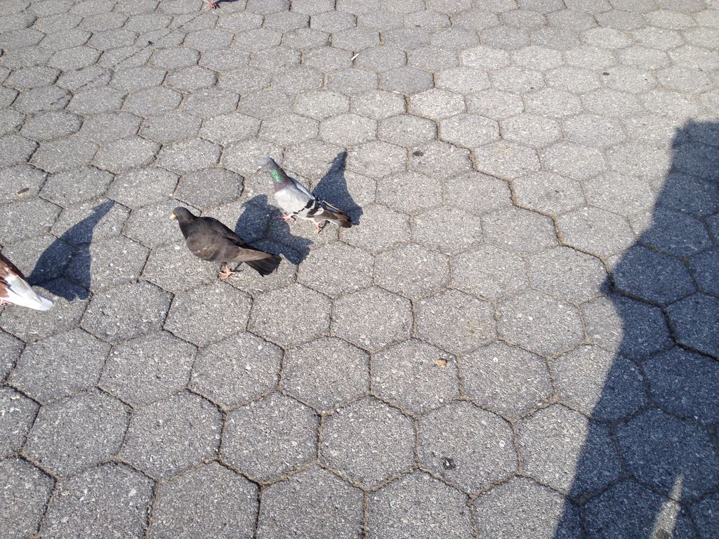 2014_09_20_s_iphone_trade_027.jpg (large)