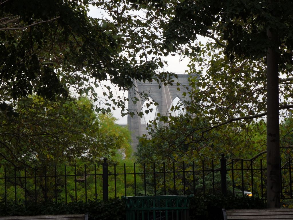 2014_09_21_downtown_0014.jpg (large)