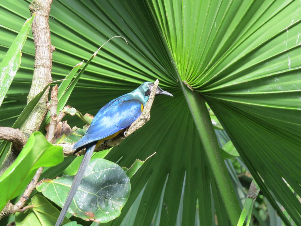 2014_09_22_central_park_0008.jpg (large)