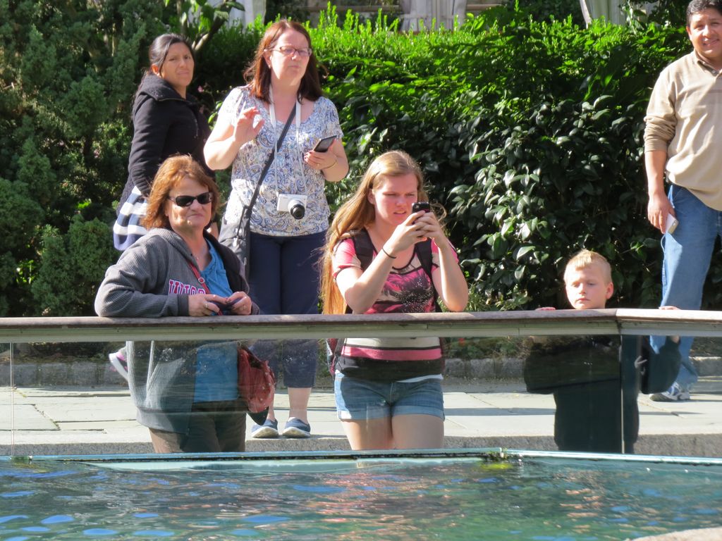 2014_09_22_central_park_0014.jpg (large)