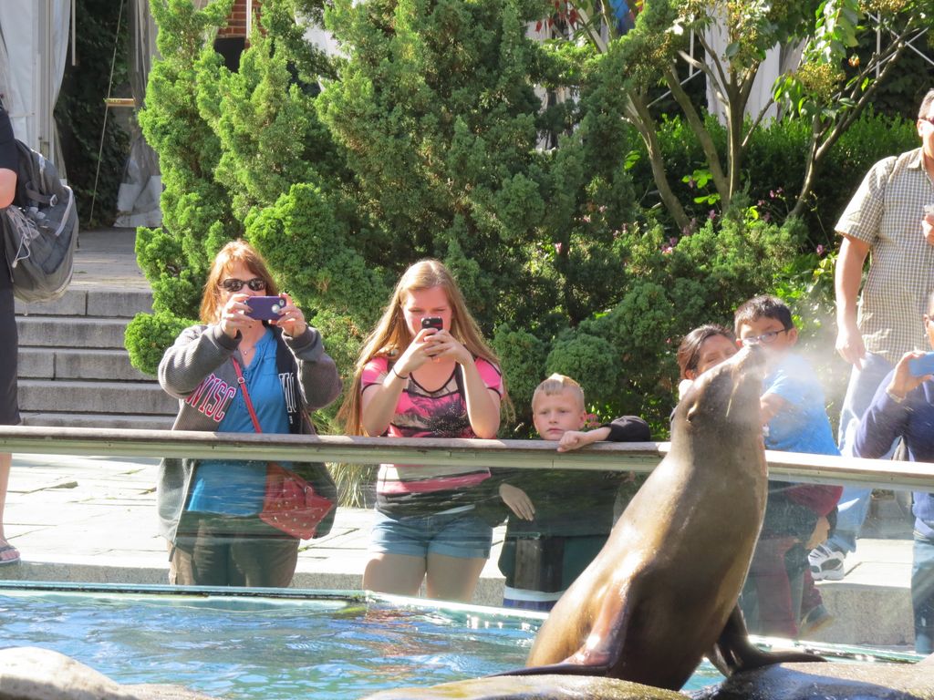 2014_09_22_central_park_0017.jpg (large)