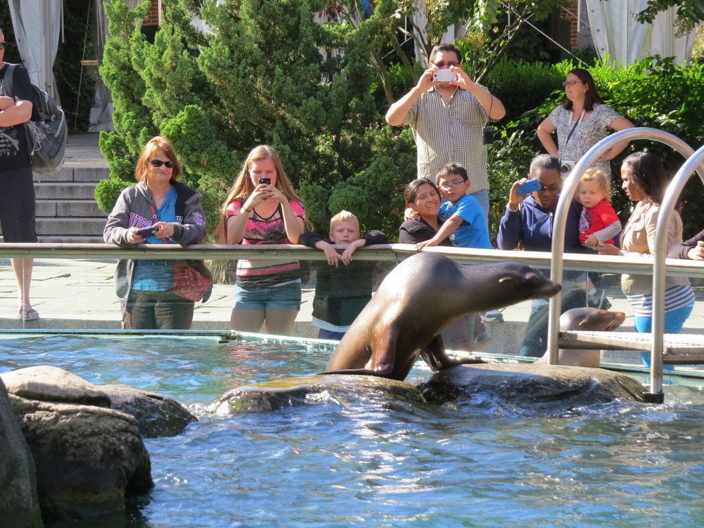 2014_09_22_central_park_0018.jpg (large)