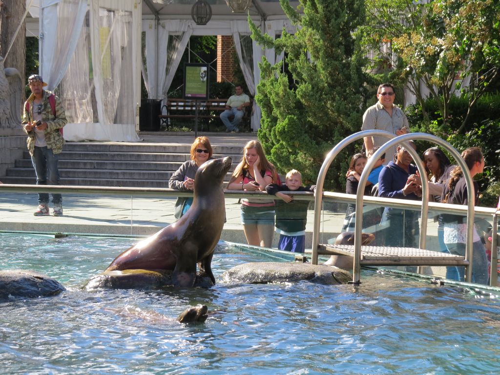 2014_09_22_central_park_0019.jpg (large)