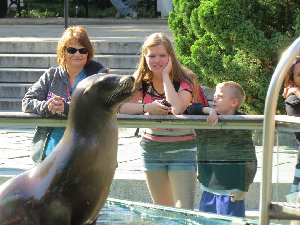 2014_09_22_central_park_0020.jpg (large)