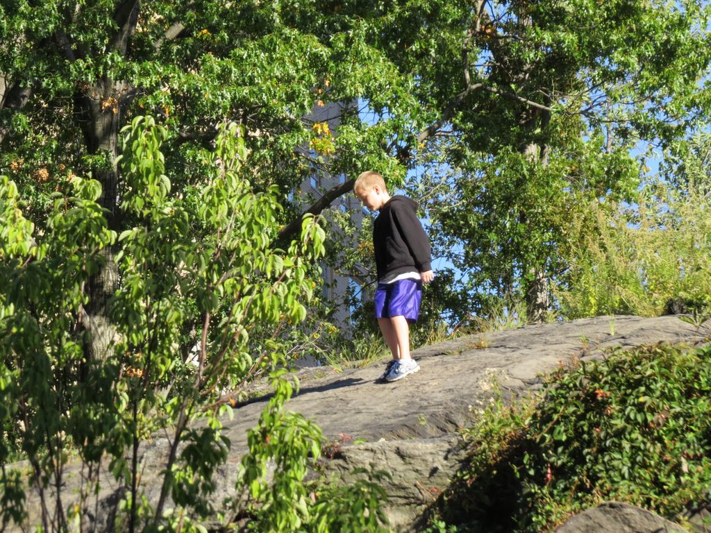 2014_09_22_central_park_0034.jpg (large)