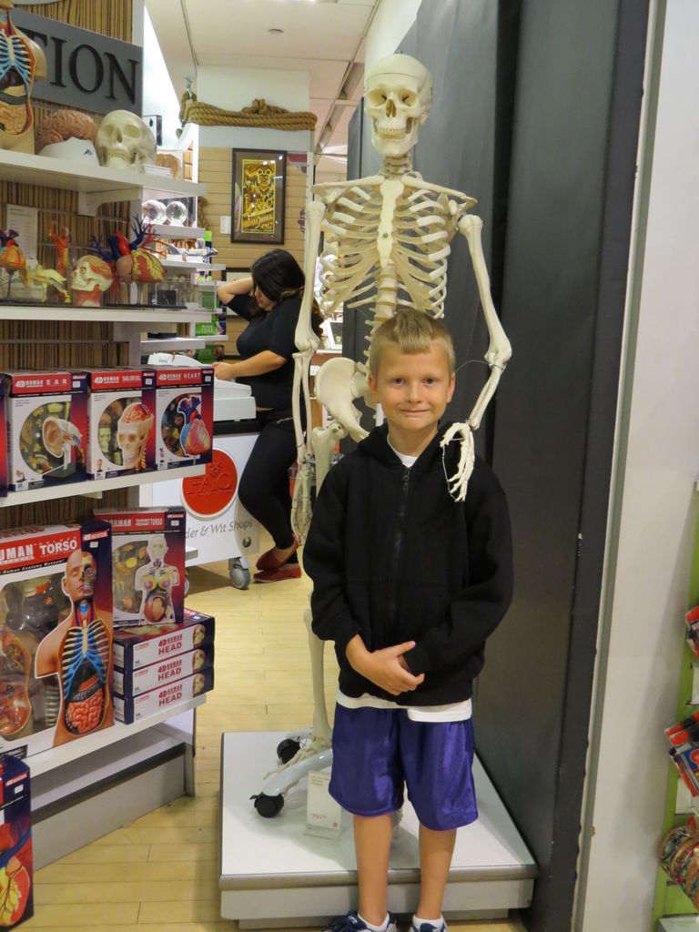 2014_09_22_fao_schwarts_0003_1.jpg (large)