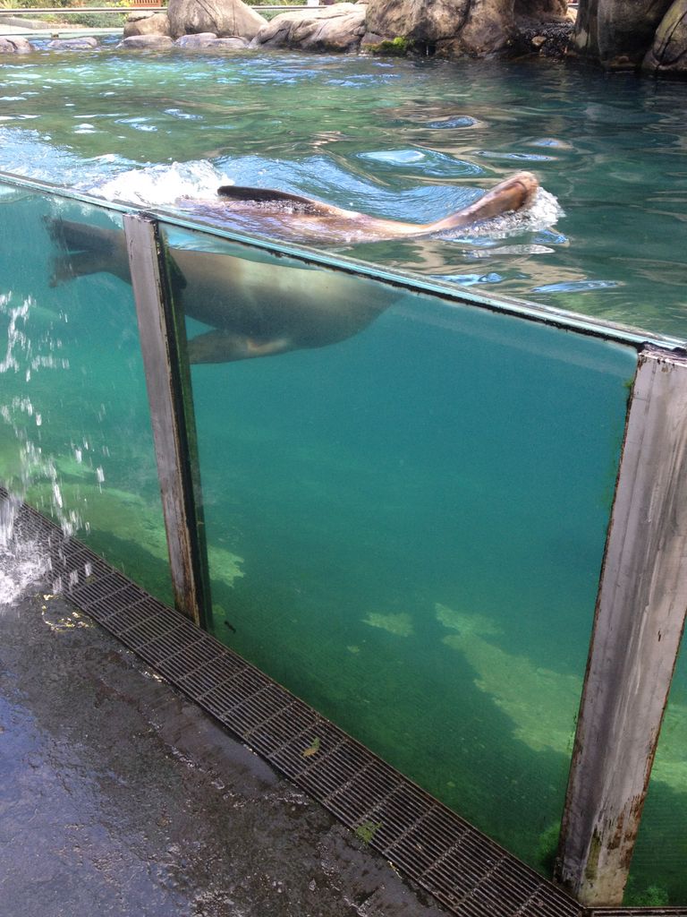 2014_09_22_k_iphone_central_prk_152.jpg (large)