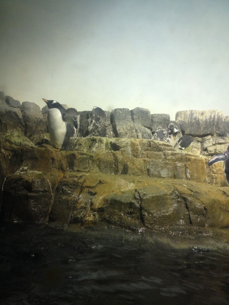 2014_09_22_k_iphone_central_prk_154.jpg (large)