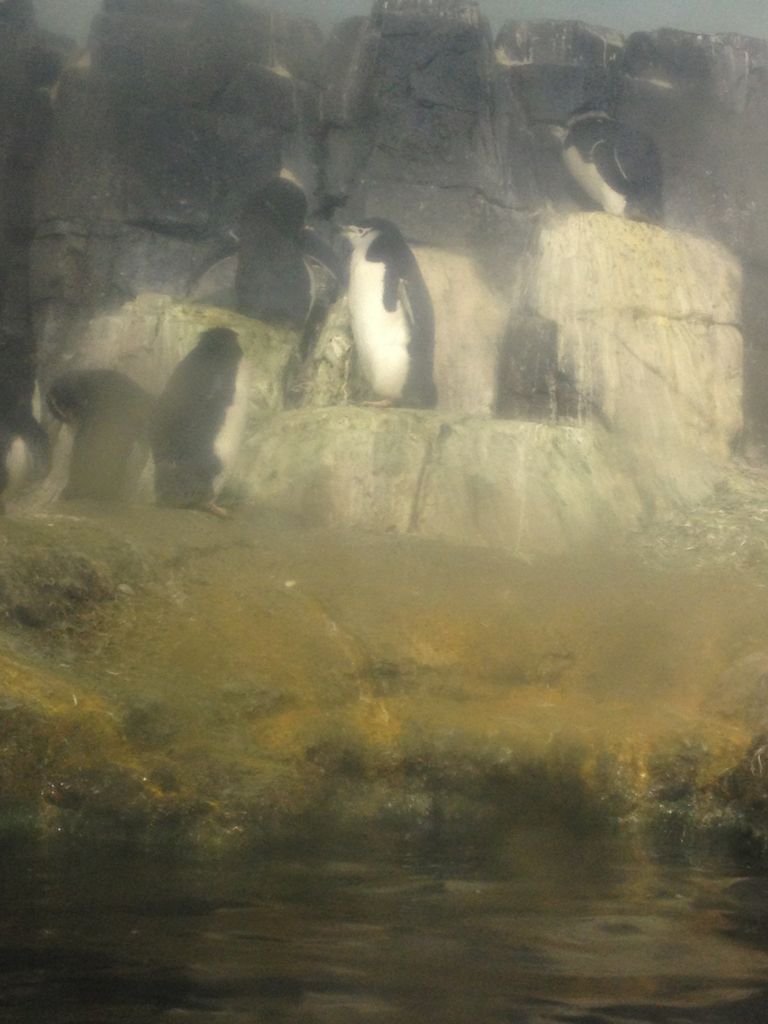 2014_09_22_k_iphone_central_prk_158.jpg (large)