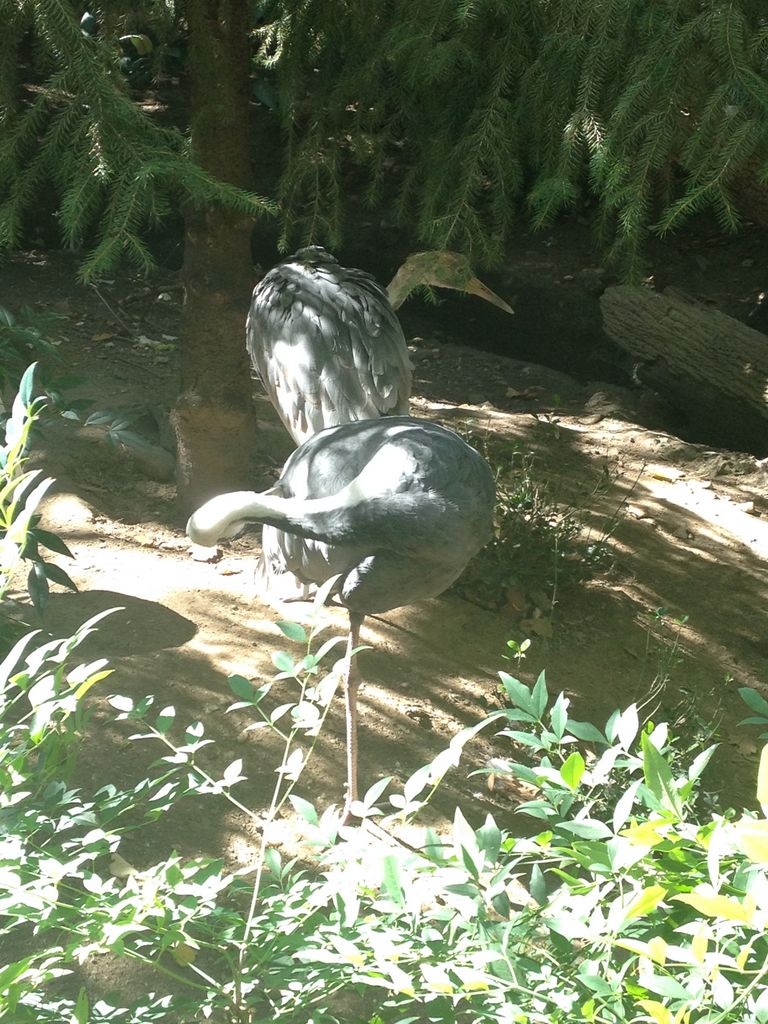 2014_09_22_k_iphone_central_prk_160.jpg (large)