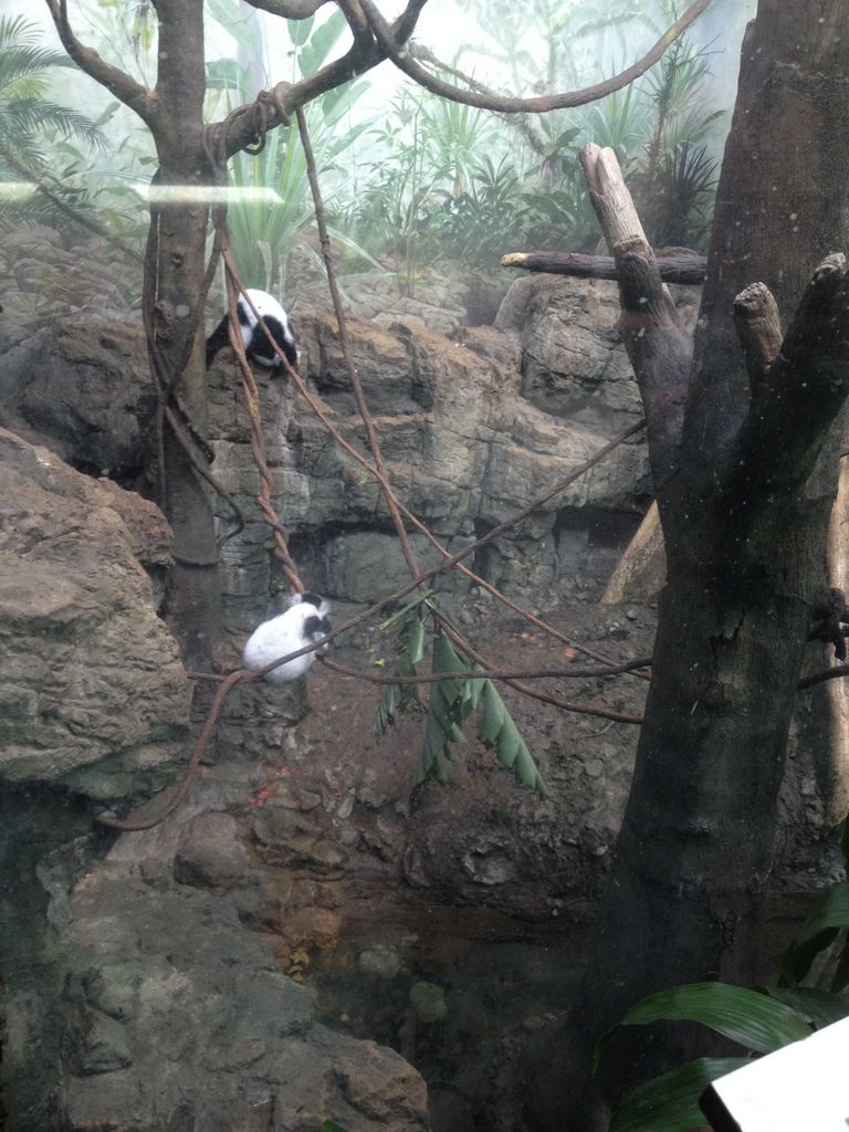 2014_09_22_k_iphone_central_prk_165.jpg (large)