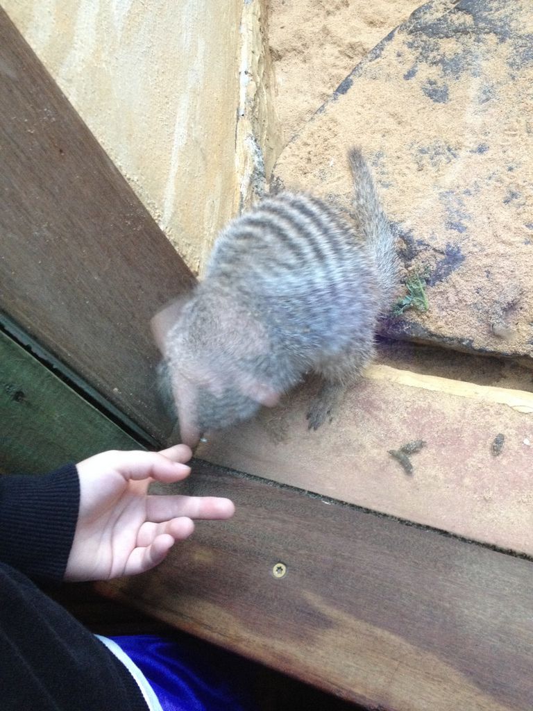 2014_09_22_k_iphone_central_prk_166.jpg (large)