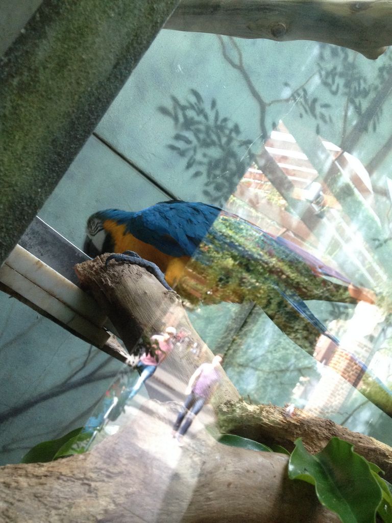 2014_09_22_k_iphone_central_prk_170.jpg (large)