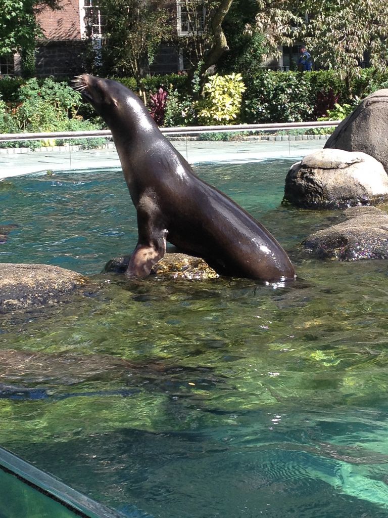 2014_09_22_k_iphone_central_prk_172.jpg (large)