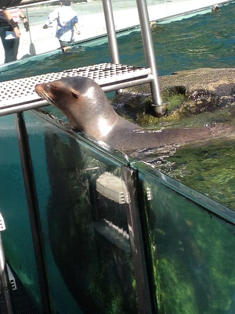 2014_09_22_k_iphone_central_prk_175.jpg (large)