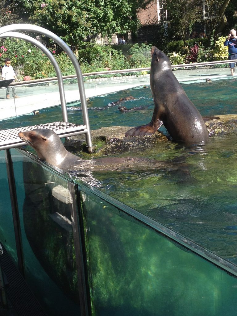 2014_09_22_k_iphone_central_prk_176.jpg (large)