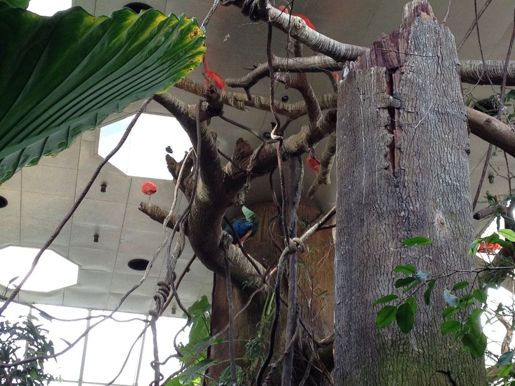 2014_09_22_s_iphone_central_prk_032.jpg (large)