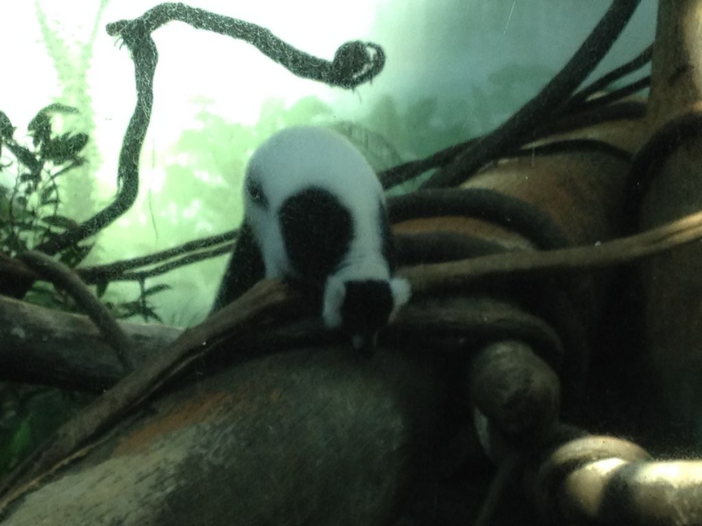 2014_09_22_s_iphone_central_prk_033.jpg (large)