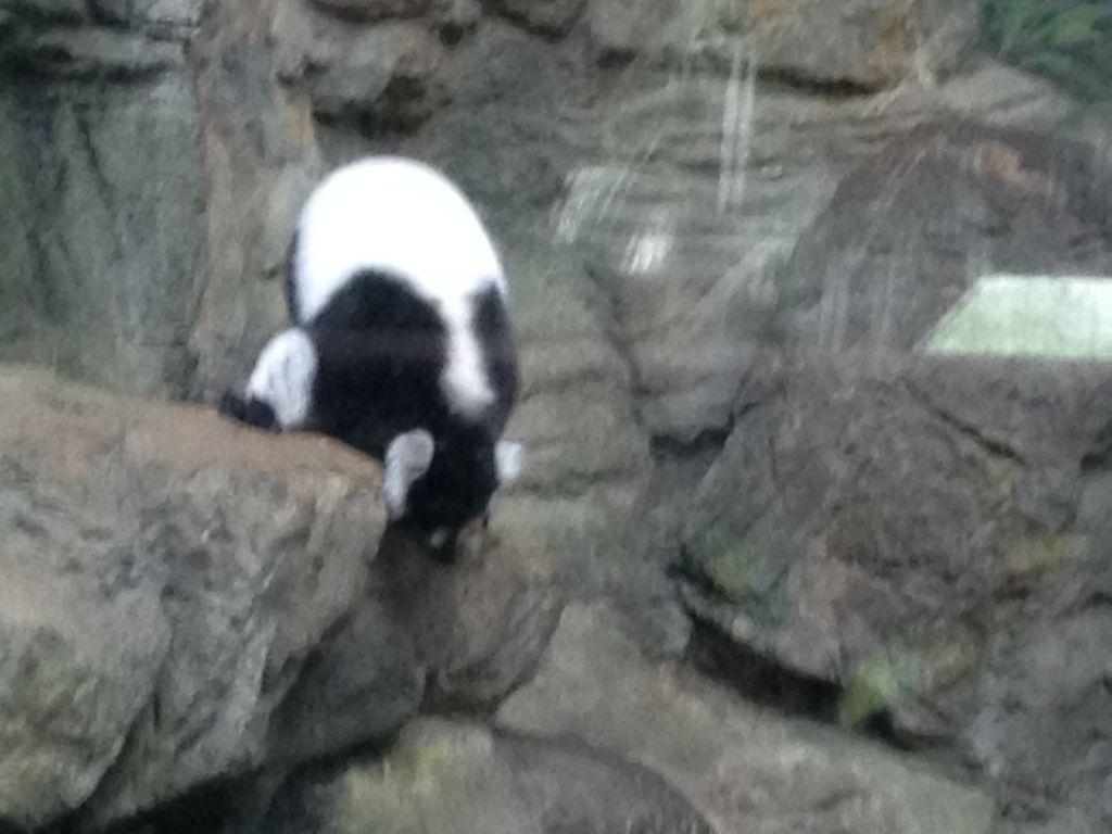 2014_09_22_s_iphone_central_prk_034.jpg (large)