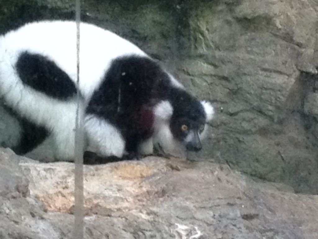 2014_09_22_s_iphone_central_prk_037.jpg (large)