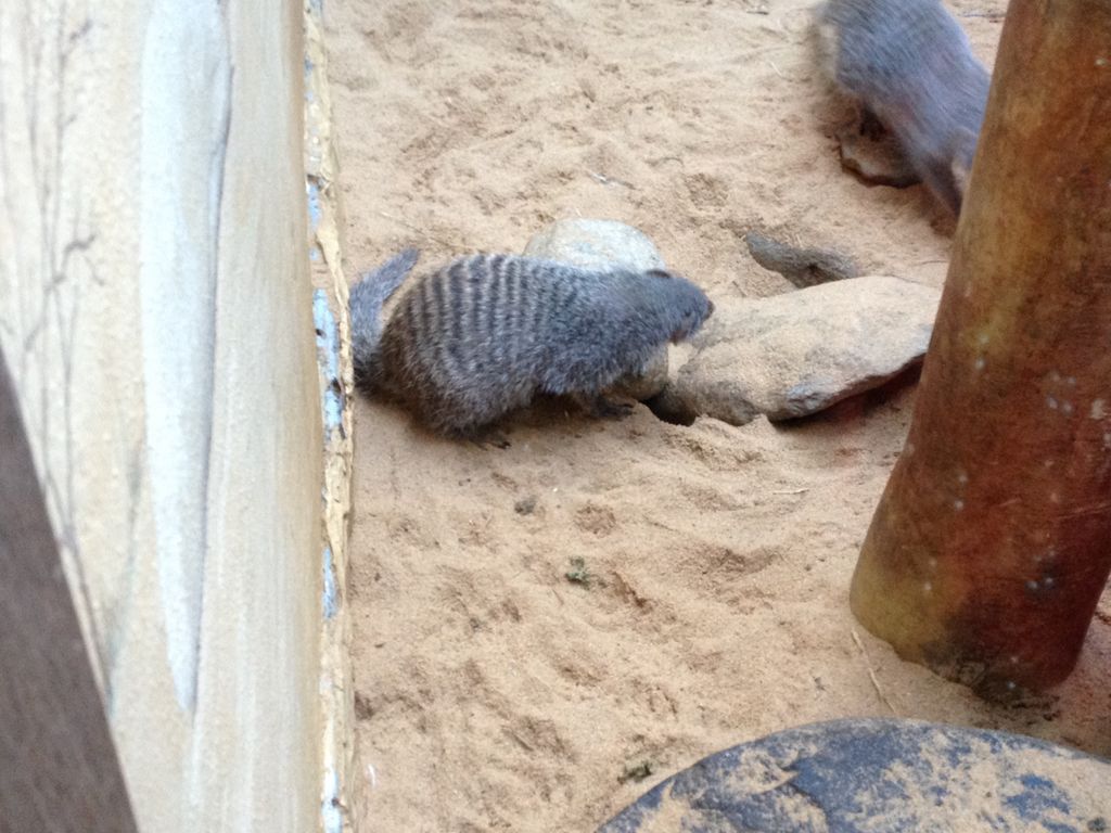 2014_09_22_s_iphone_central_prk_038.jpg (large)