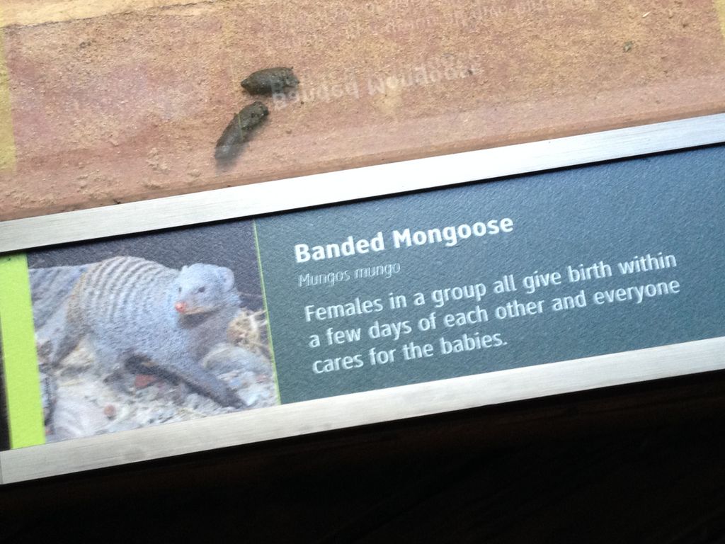 2014_09_22_s_iphone_central_prk_040.jpg (large)