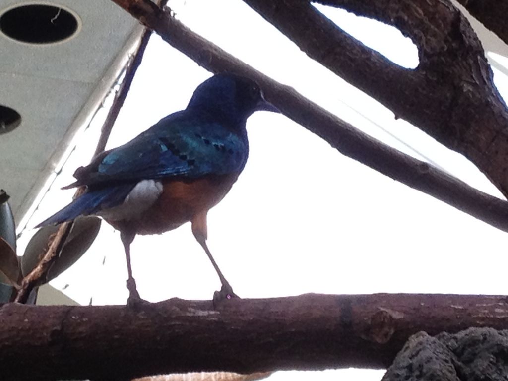 2014_09_22_s_iphone_central_prk_044.jpg (large)