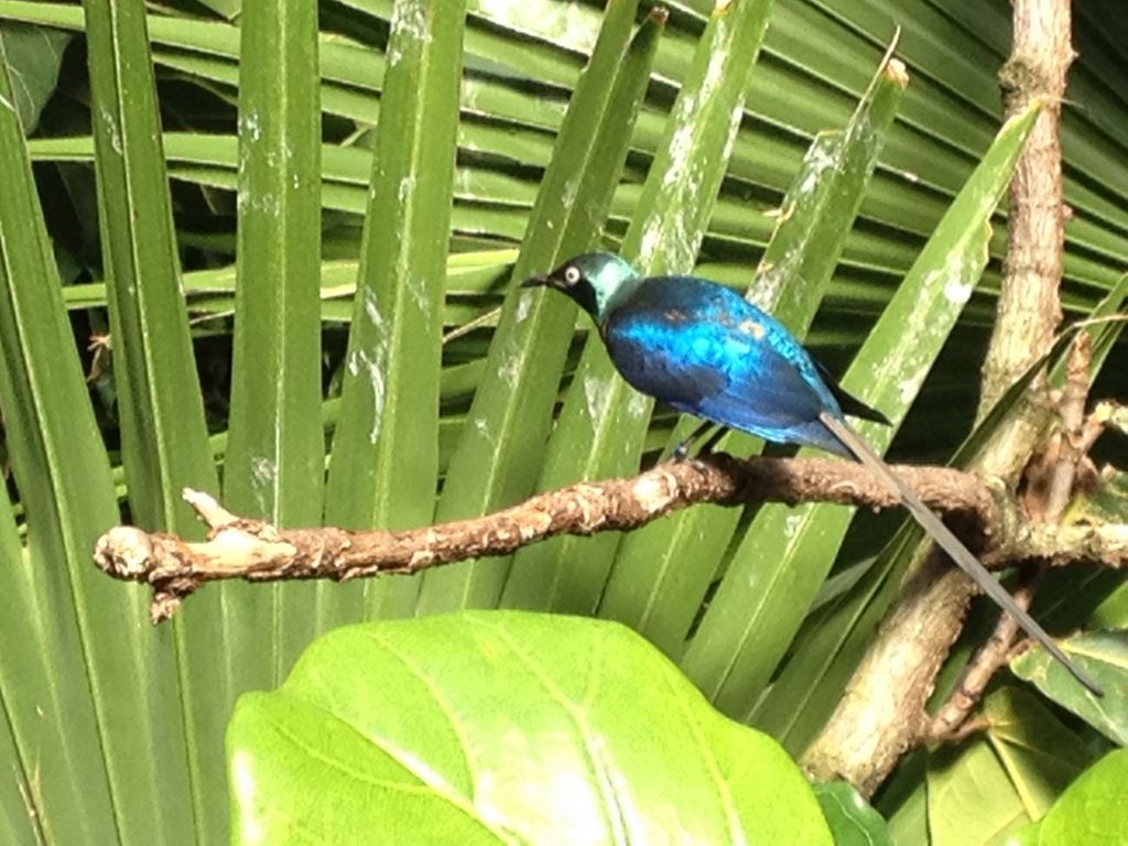 2014_09_22_s_iphone_central_prk_047.jpg (large)