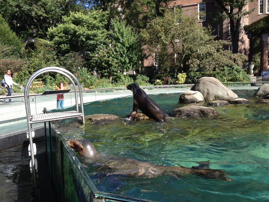 2014_09_22_s_iphone_central_prk_049.jpg (large)