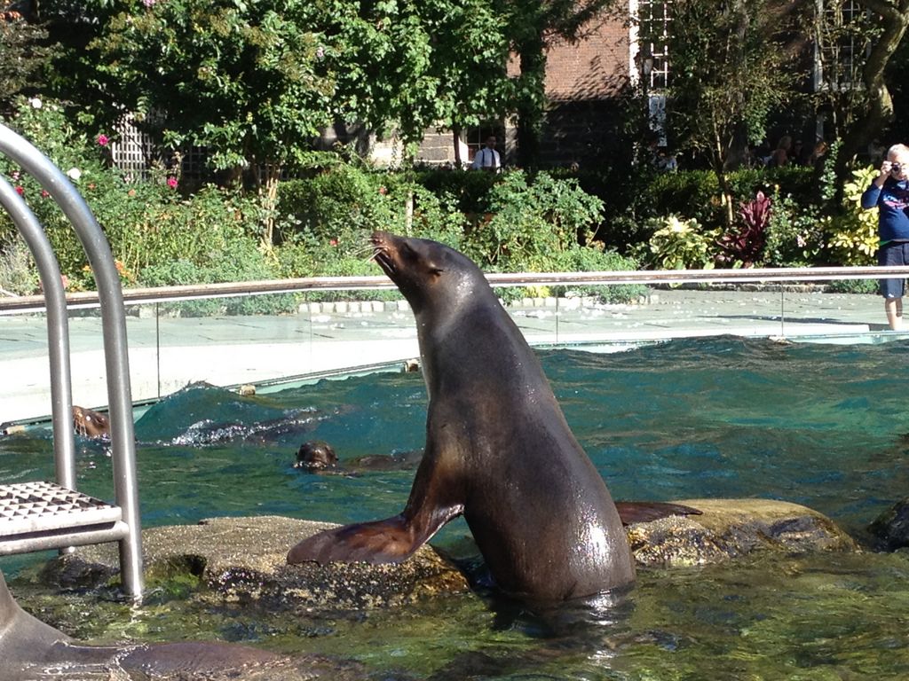 2014_09_22_s_iphone_central_prk_053.jpg (large)