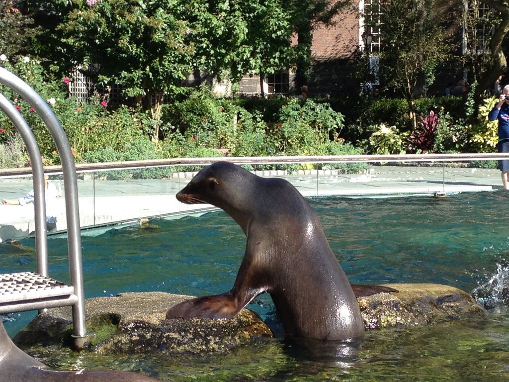 2014_09_22_s_iphone_central_prk_054.jpg (large)